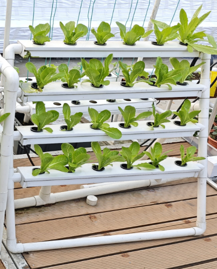 Hydroponic Nft Channel - نظام الزراعة المائية العمودي الصغير ذو