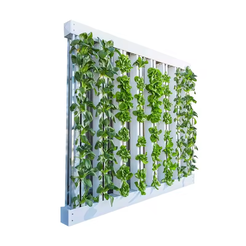 Hydroponic Nft Channel - نظام زراعة مائية عمودي بقنوات NFT