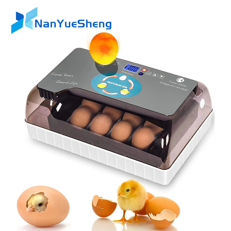 Quail Egg Incubator - التلقائي HHD أفضل الرقمية 12 آلة