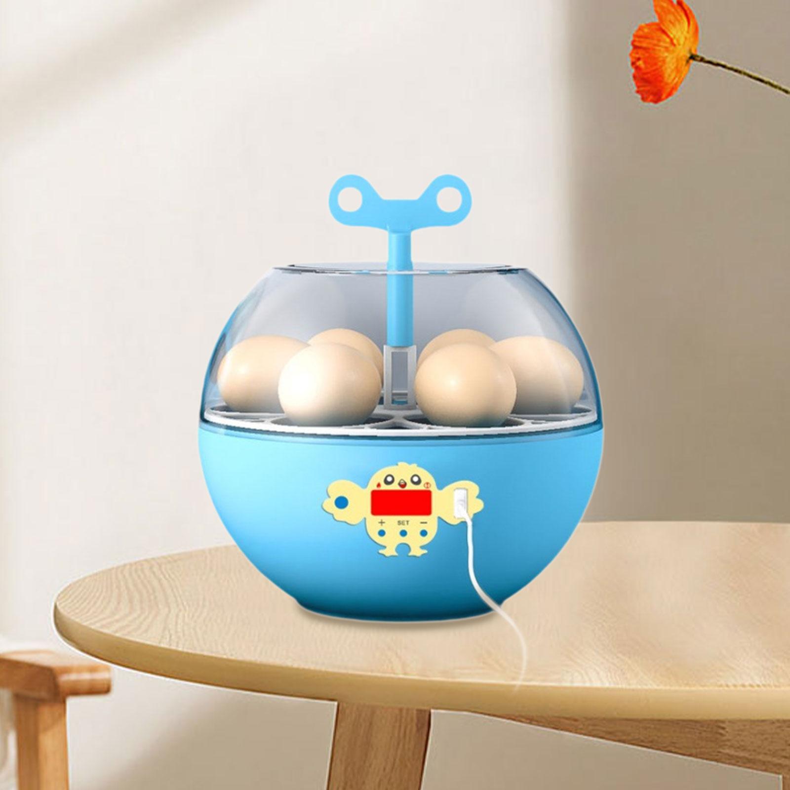 Quail Egg Incubator - حاضنة بيض صغيرة شفافة لـ 6