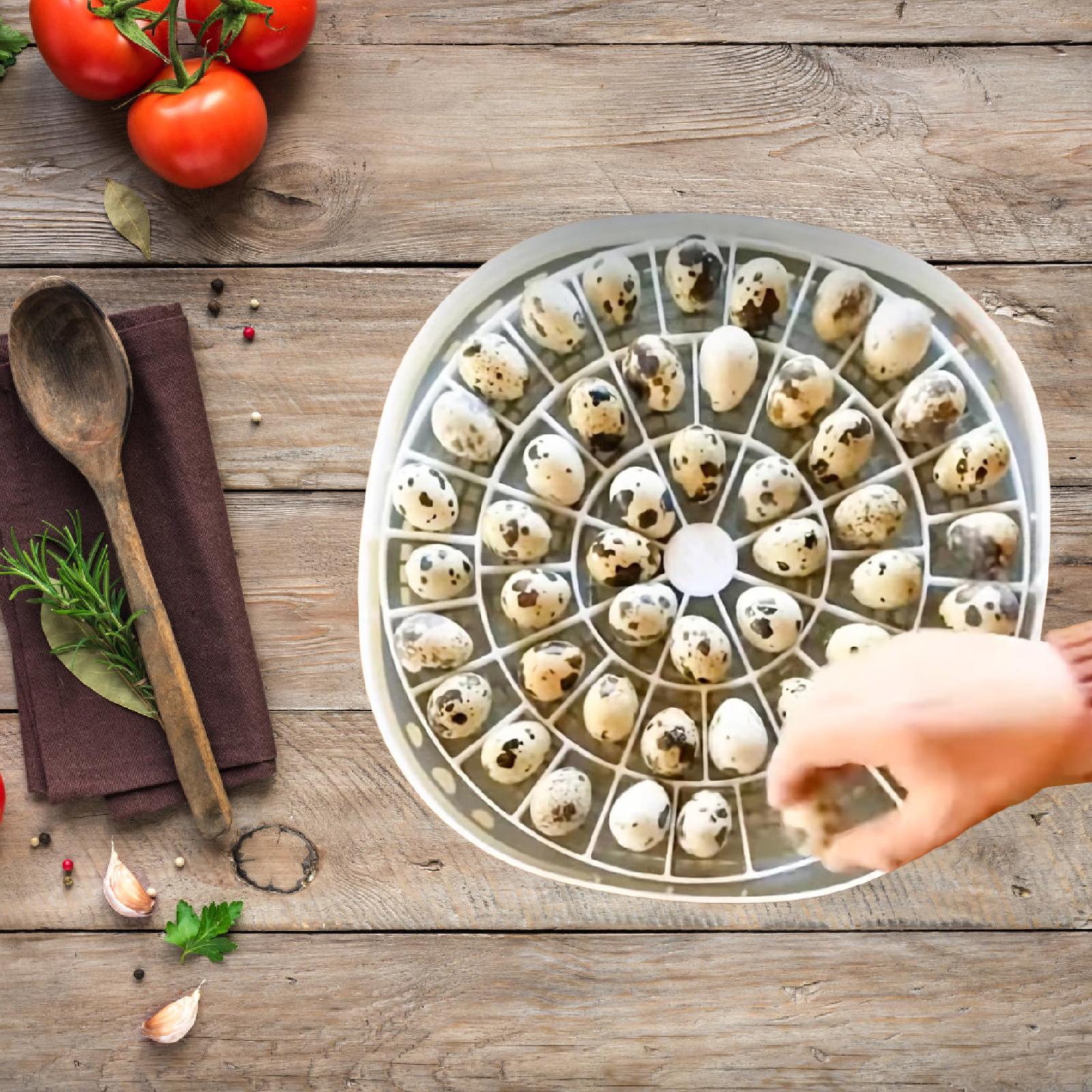 Quail Egg Incubator - صينية بيض طيور السمان الصغيرة 48