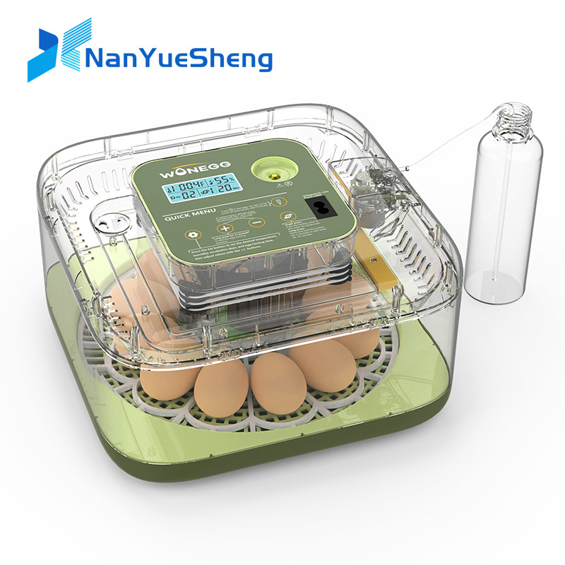 Quail Egg Incubator - ماكينة تفريخ بيض الفرخ الجديدة 12