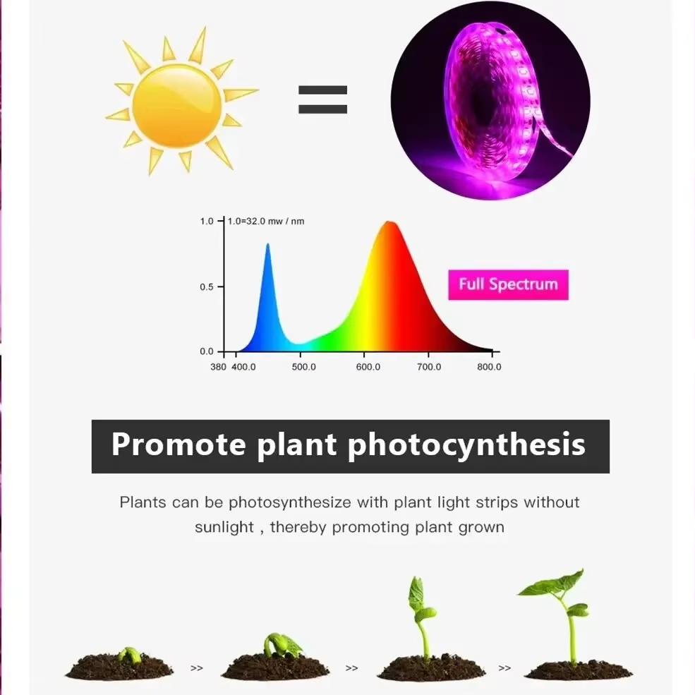 تيار مستمر 5 فولت USB Led أضوا - مراجعة Hydroponic Nft Channel وسعره