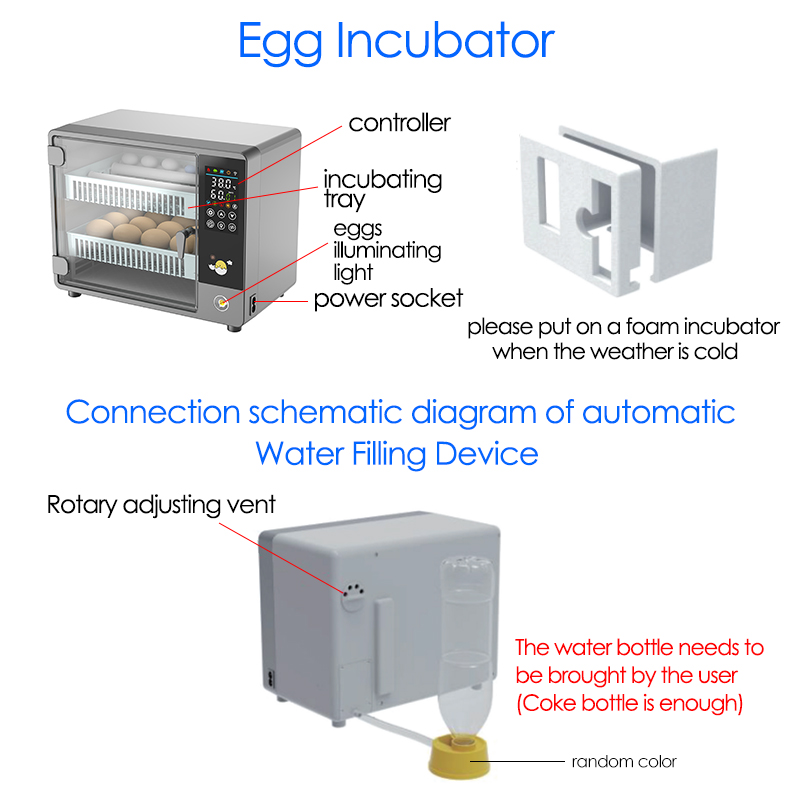 24 بيضة كاملة التلقائي تحول ال - مراجعة Quail Egg Incubator وسعره