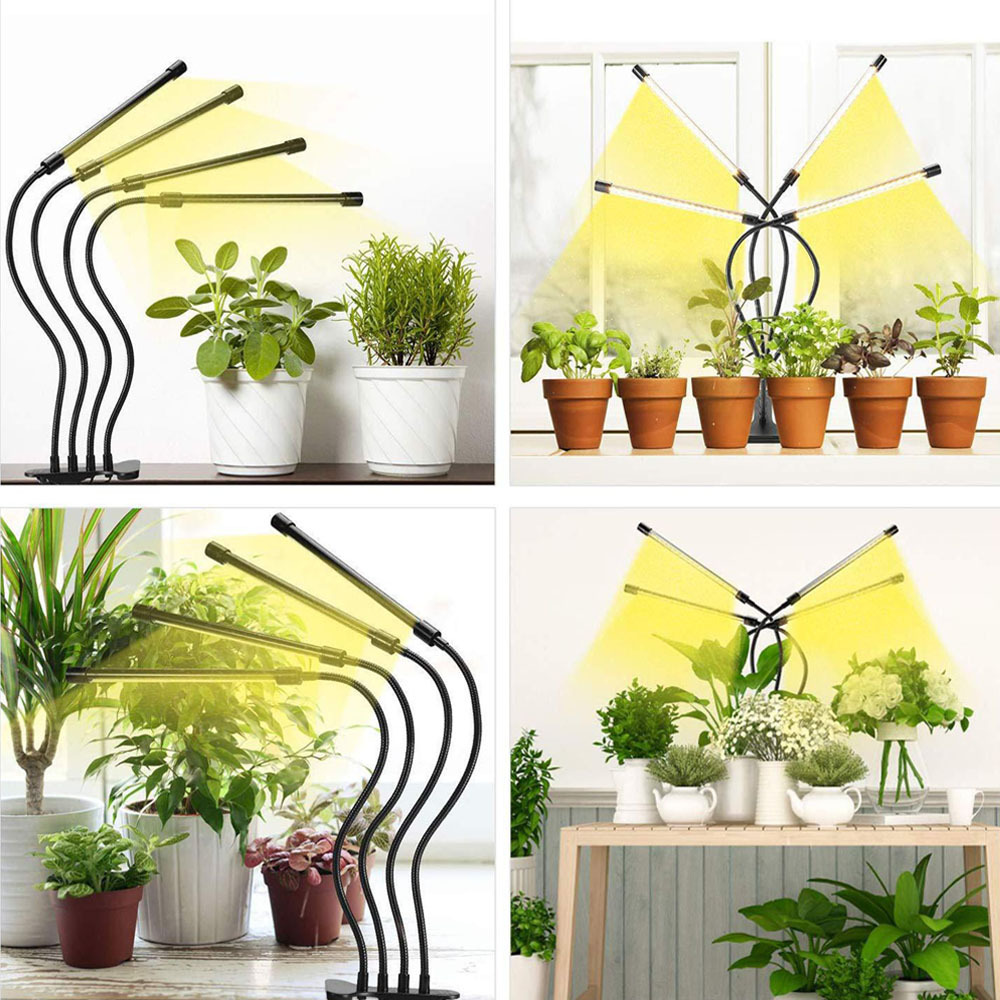 مصباح نمو النبات LED USB 5 فول - مراجعة Hydroponic Nft Channel وسعره