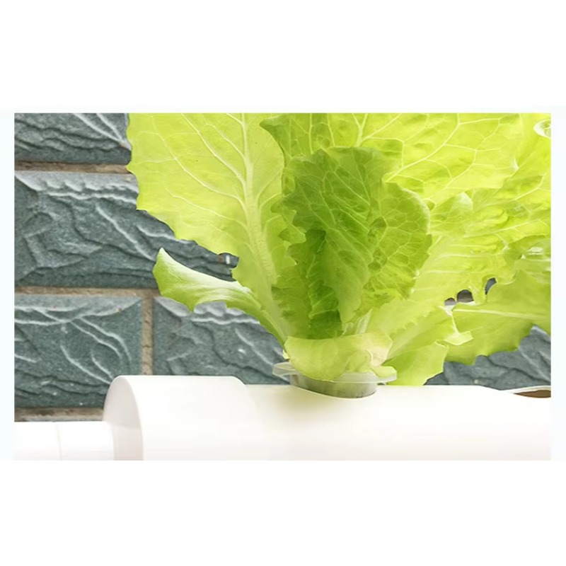 نظام زراعة مائية NFT سهل الترك - مراجعة Hydroponic Nft Channel وسعره