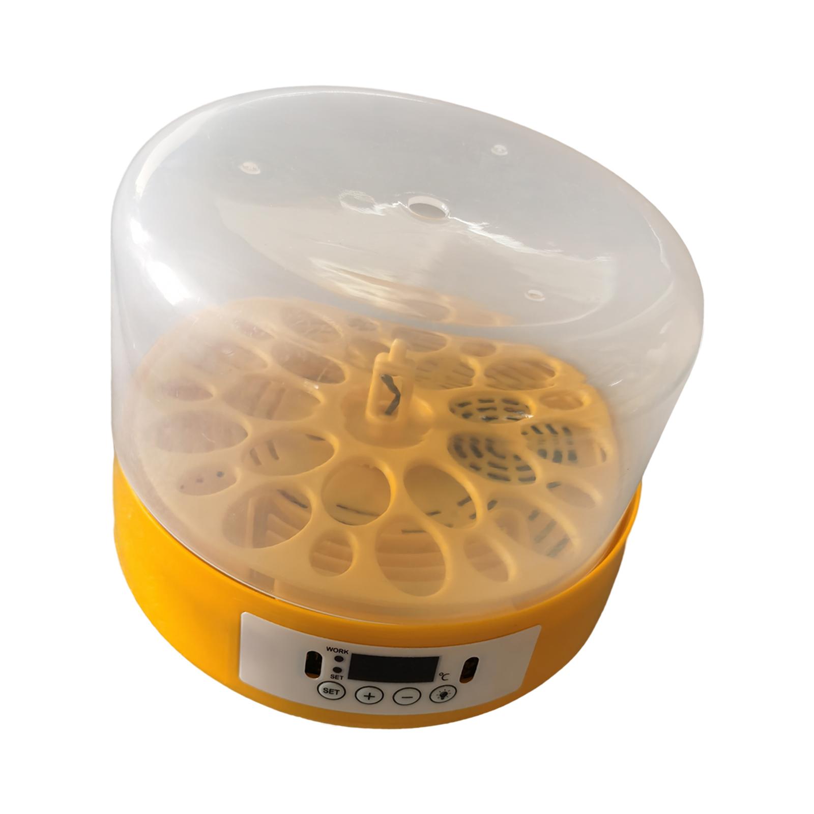 حاضنة البيض، آلة تفريخ البيض،  - مراجعة Quail Egg Incubator وسعره