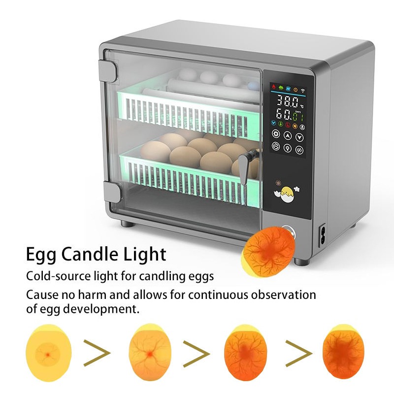 حاضنة بيض أوتوماتيكية بالكامل  - مراجعة Quail Egg Incubator وسعره