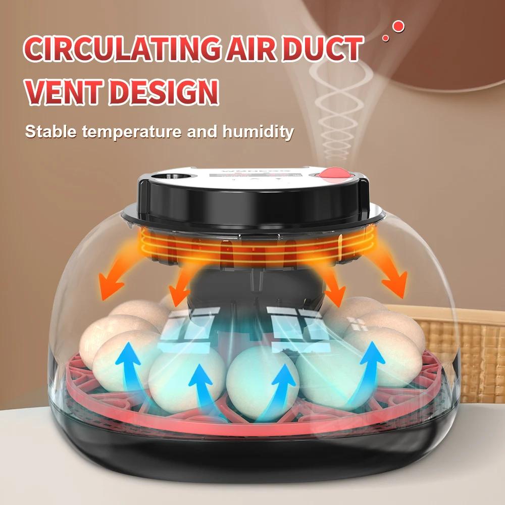حاضنة بيض أوتوماتيكية سعة 12 ب - مراجعة Quail Egg Incubator وسعره