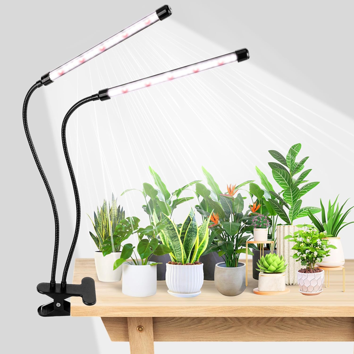 مصباح نمو النباتات LED من KEBI - مراجعة Hydroponic Nft Channel وسعره