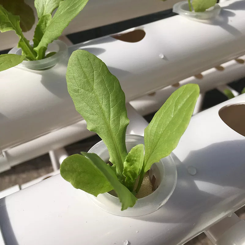 نظام زراعة عمودي هيدروبونيك ثل - مراجعة Hydroponic Nft Channel وسعره
