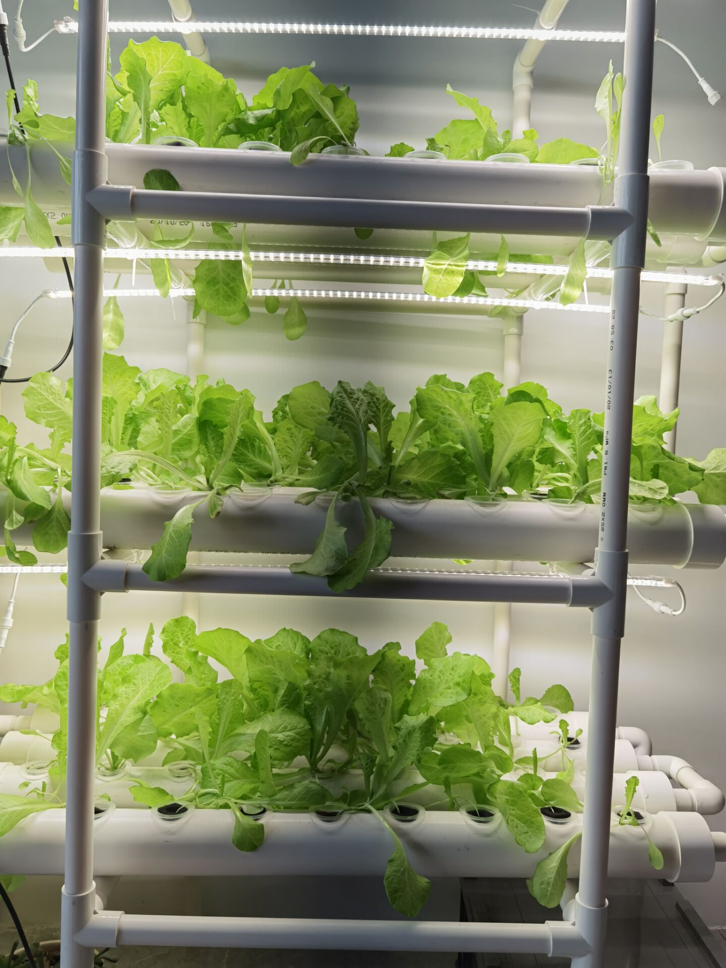نظام زراعة عمودي هيدروبونيك ثل - مراجعة Hydroponic Nft Channel وسعره