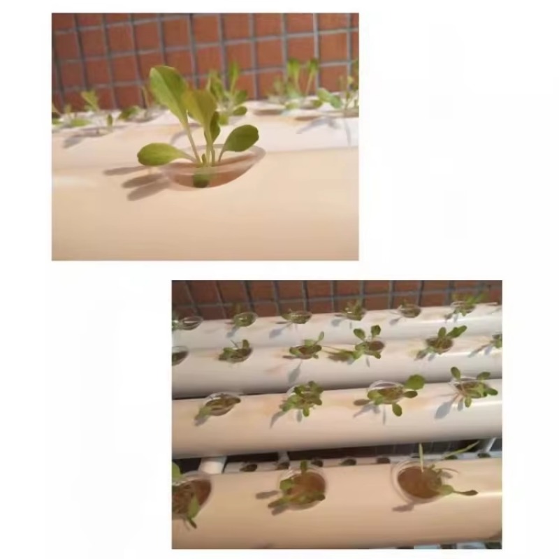 نظام زراعة مائي NFT بتصميم جدي - مراجعة Hydroponic Nft Channel وسعره