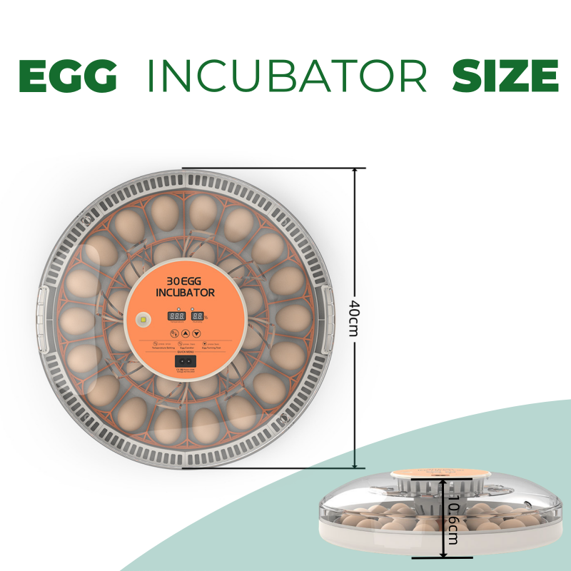 حاضنة بيض منزلية STLF30 أوتوما - مراجعة Quail Egg Incubator وسعره