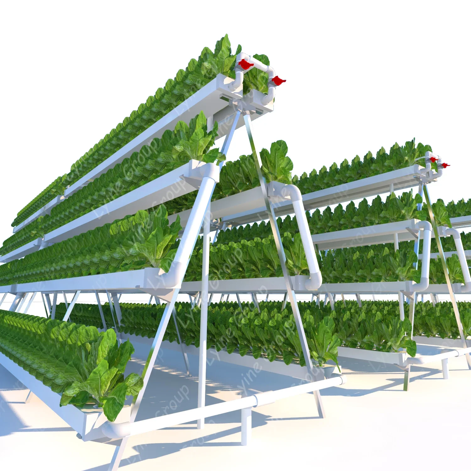تصنيع إنتاج نظام الزراعة المائ - مراجعة Hydroponic Nft Channel وسعره