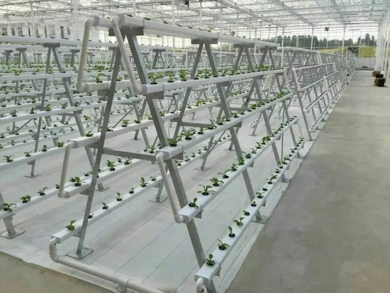تصنيع إنتاج نظام الزراعة المائ - مراجعة Hydroponic Nft Channel وسعره