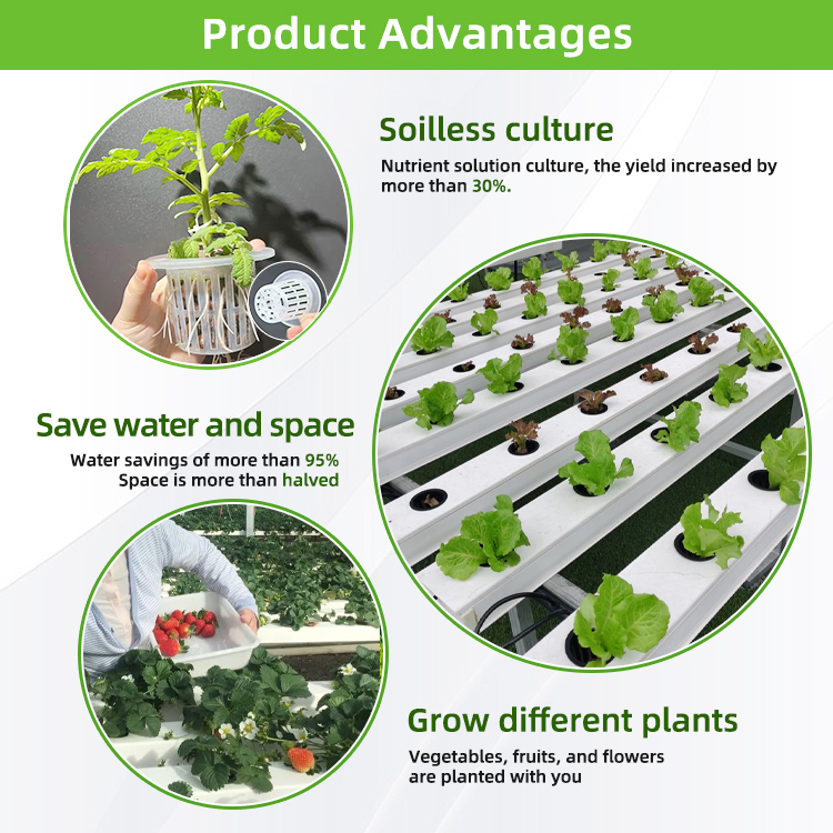 Nft الزراعة المائية PVC أنظمة  - مراجعة Hydroponic Nft Channel وسعره