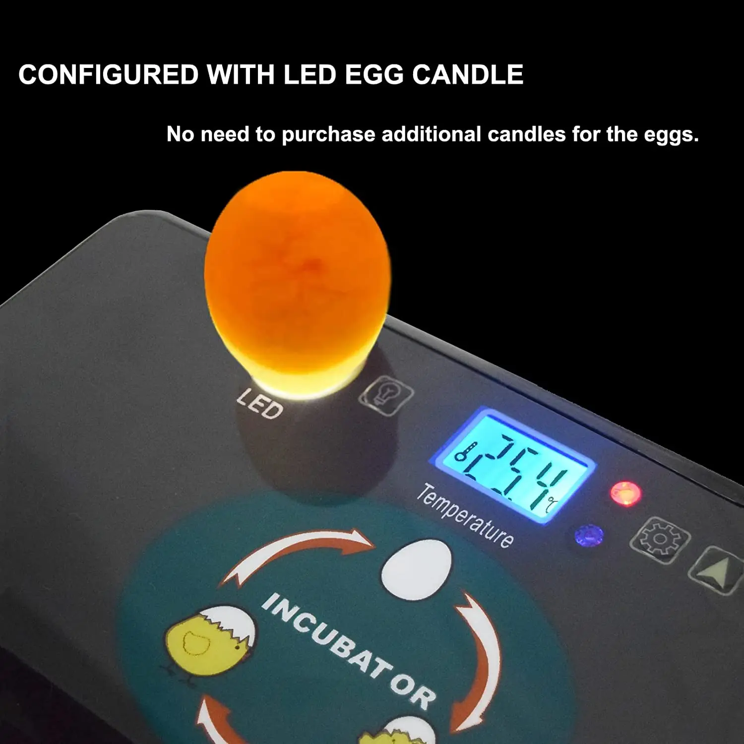 التلقائي HHD أفضل الرقمية 12 آ - مراجعة Quail Egg Incubator وسعره