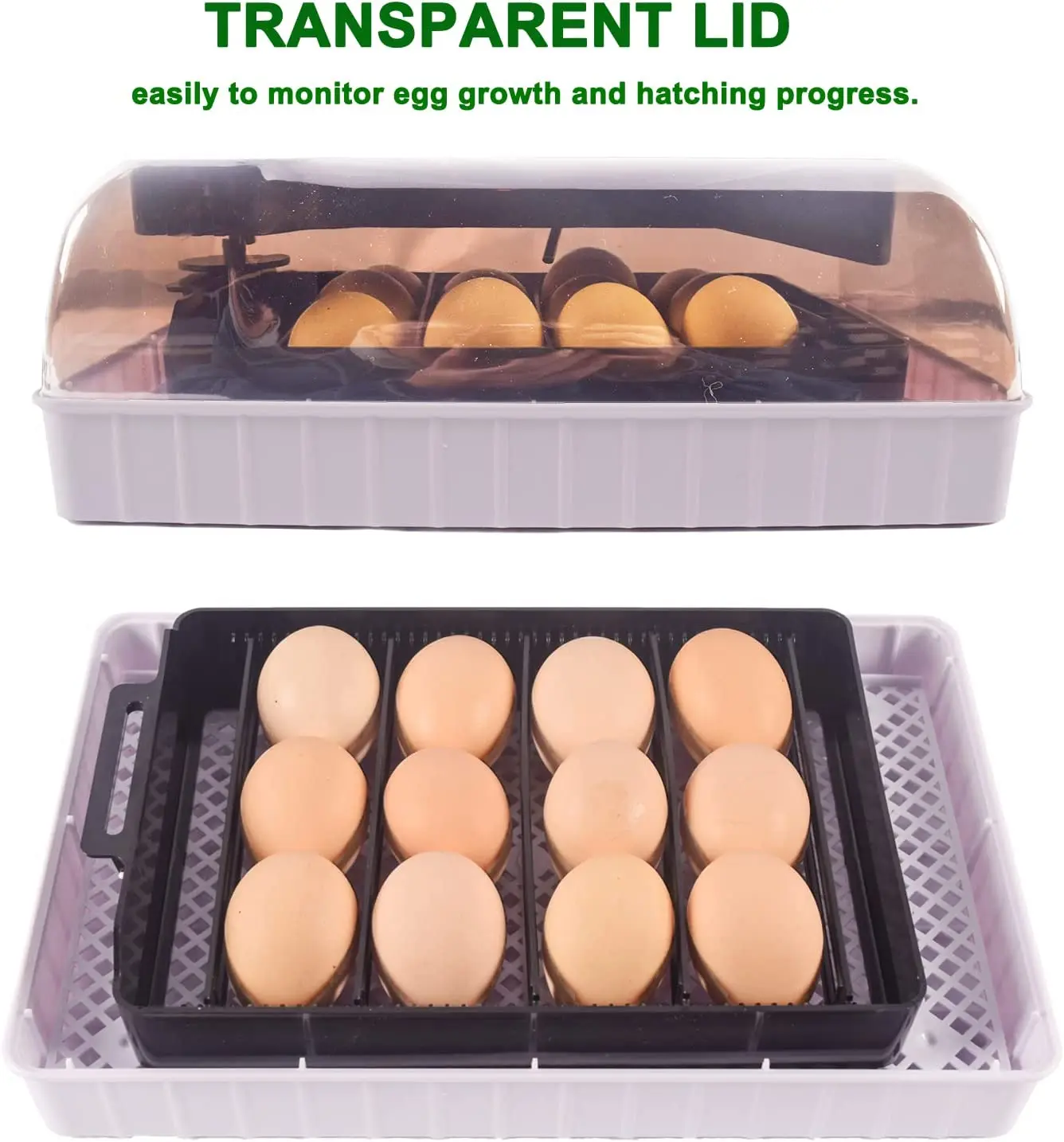 التلقائي HHD أفضل الرقمية 12 آ - مراجعة Quail Egg Incubator وسعره