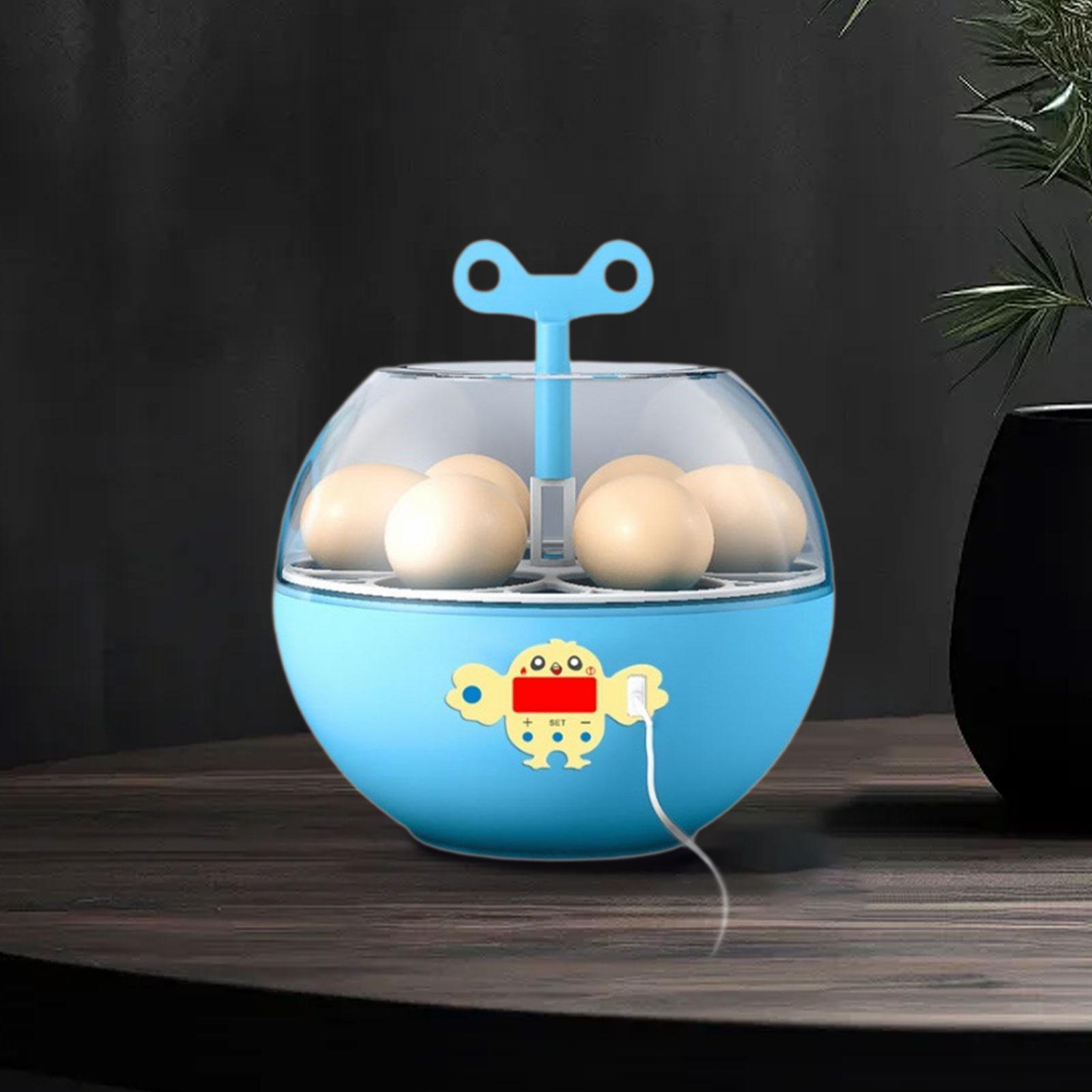 حاضنة بيض صغيرة شفافة لـ 6 بيض - مراجعة Quail Egg Incubator وسعره