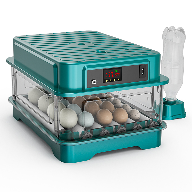 حاضنة بيض أوتوماتيكية بالكامل  - مراجعة Quail Egg Incubator وسعره