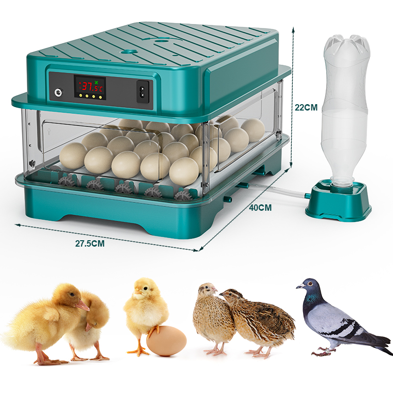 حاضنة بيض أوتوماتيكية بالكامل  - مراجعة Quail Egg Incubator وسعره