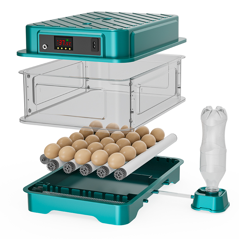 حاضنة بيض أوتوماتيكية بالكامل  - مراجعة Quail Egg Incubator وسعره