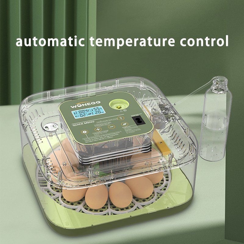 ماكينة تفريخ بيض الفرخ الجديدة - مراجعة Quail Egg Incubator وسعره
