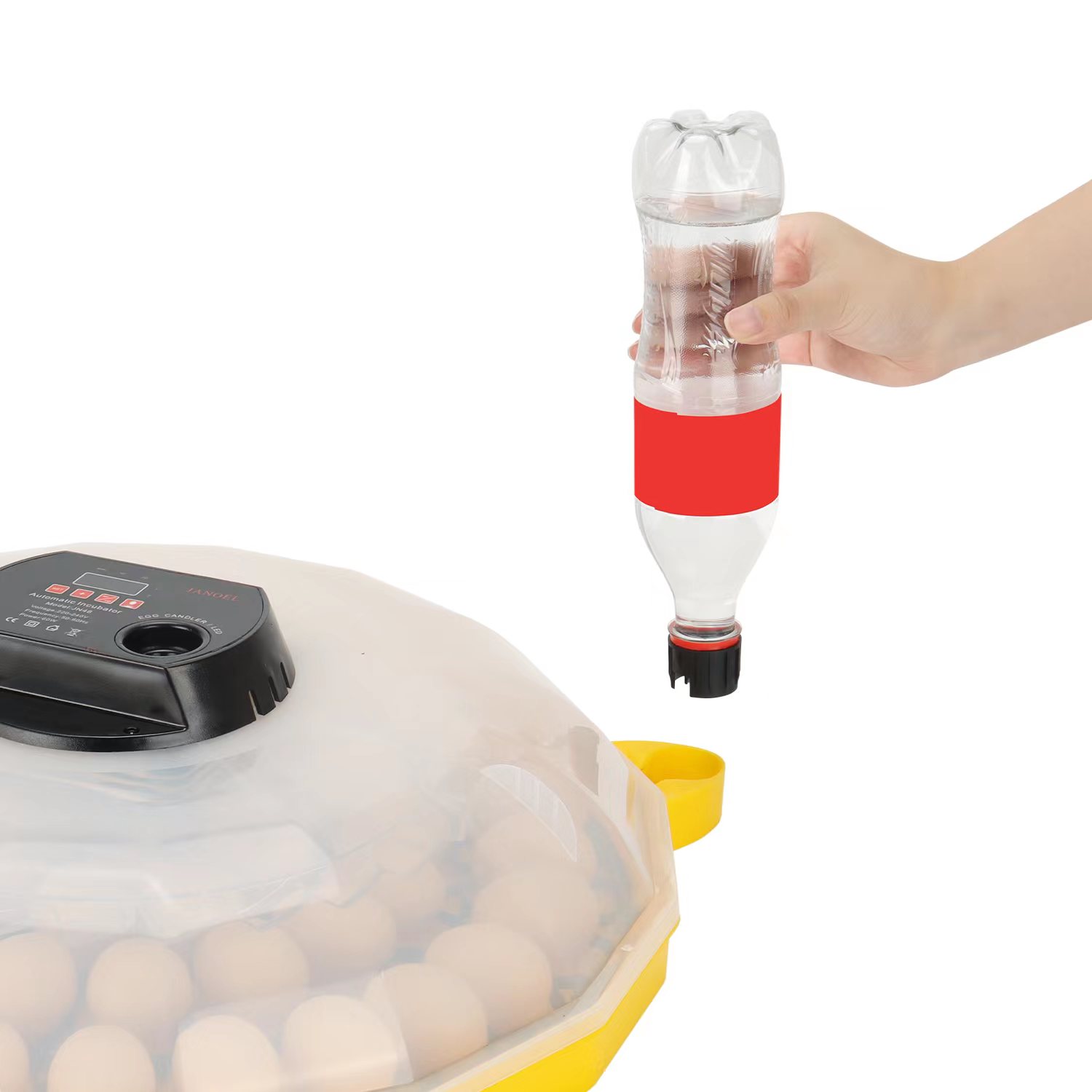 حاضنة بيض صغيرة بمعدل تفقيس 99 - مراجعة Quail Egg Incubator وسعره