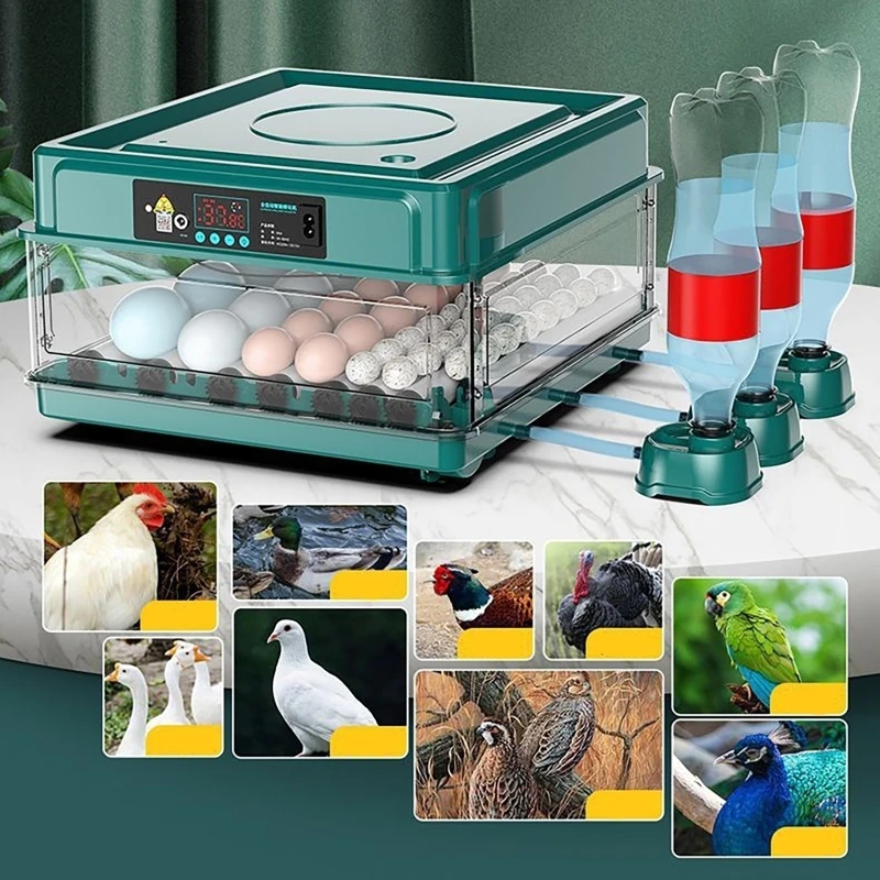 حاضنة بيض أوتوماتيكية مع تحكم  - مراجعة Quail Egg Incubator وسعره