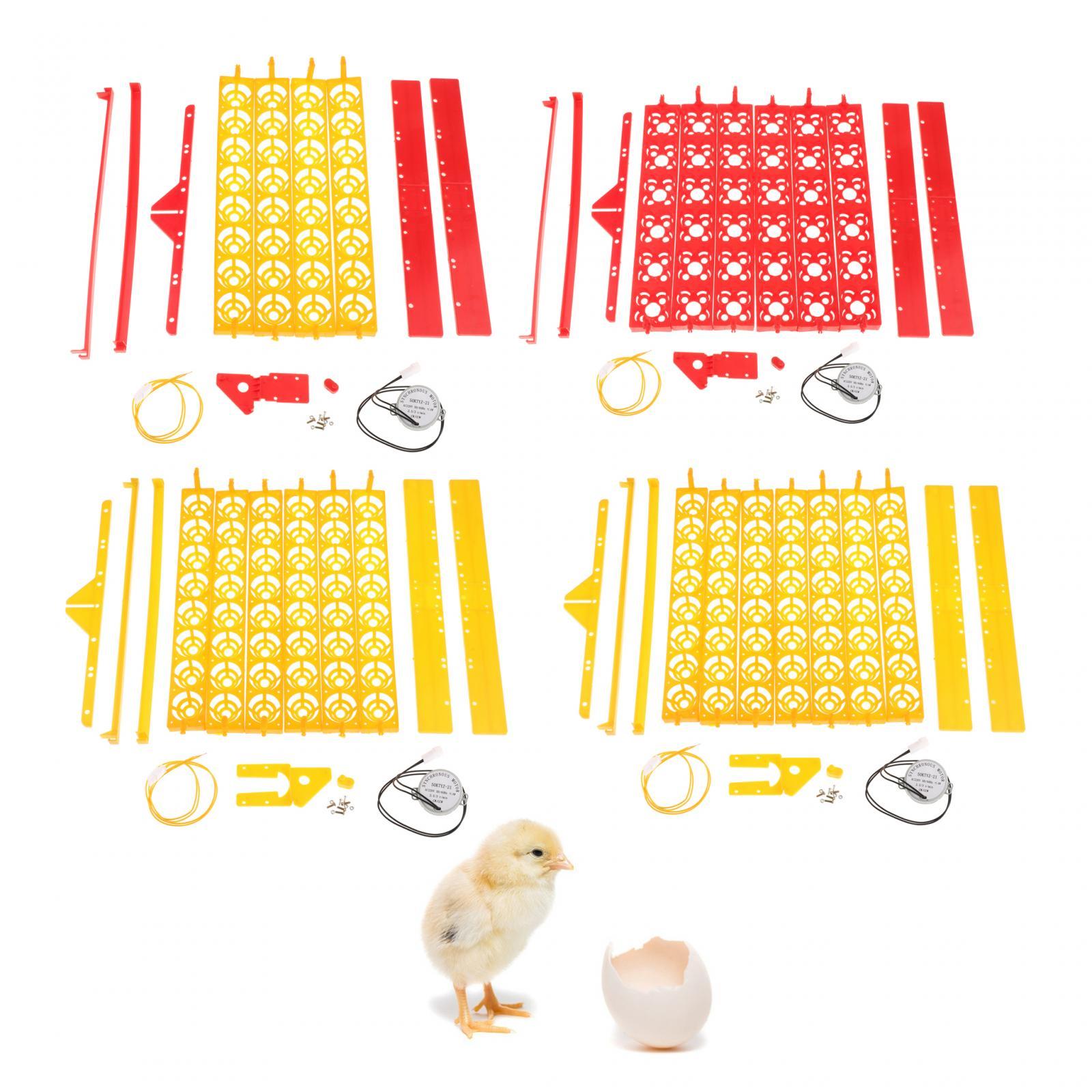صينية حاضنة بيض بلاستيكية بمحر - مراجعة Quail Egg Incubator وسعره