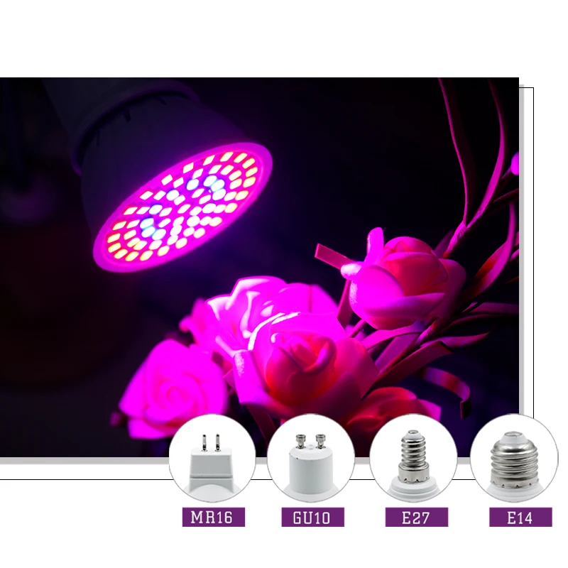شاشة ليد بطيف كامل تنمو ضوء E2 - مراجعة Hydroponic Nft Channel وسعره